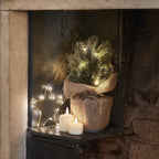 Christmas Decorations Mini Frosted Tree Lights