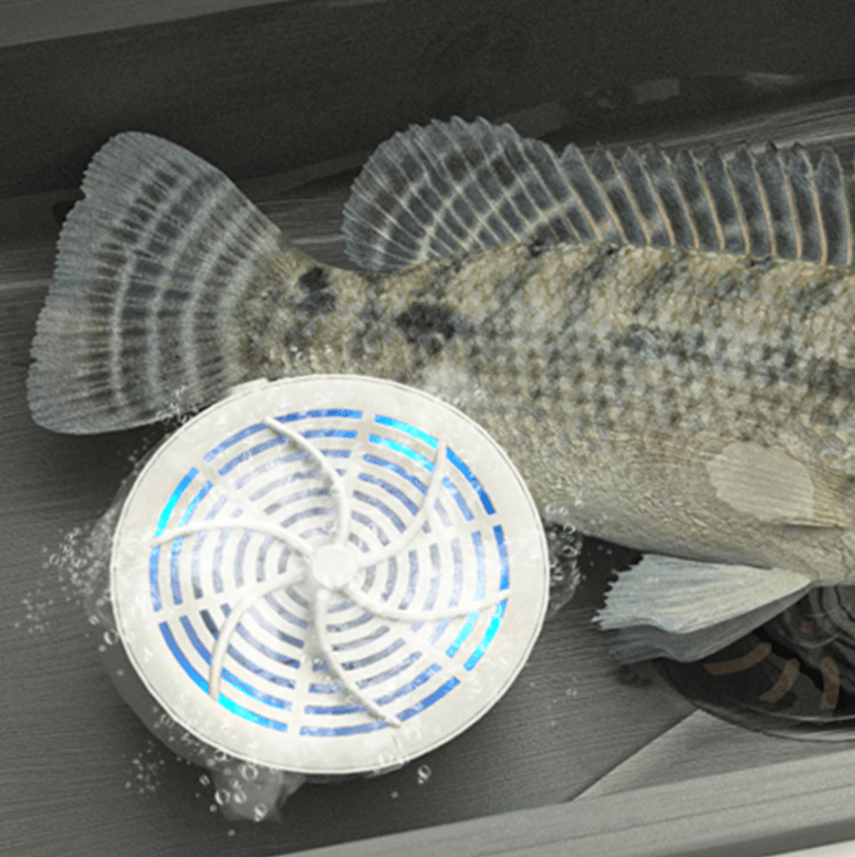 Battery-powered food cleaning agent Effective removal of pesticides and bacteria
