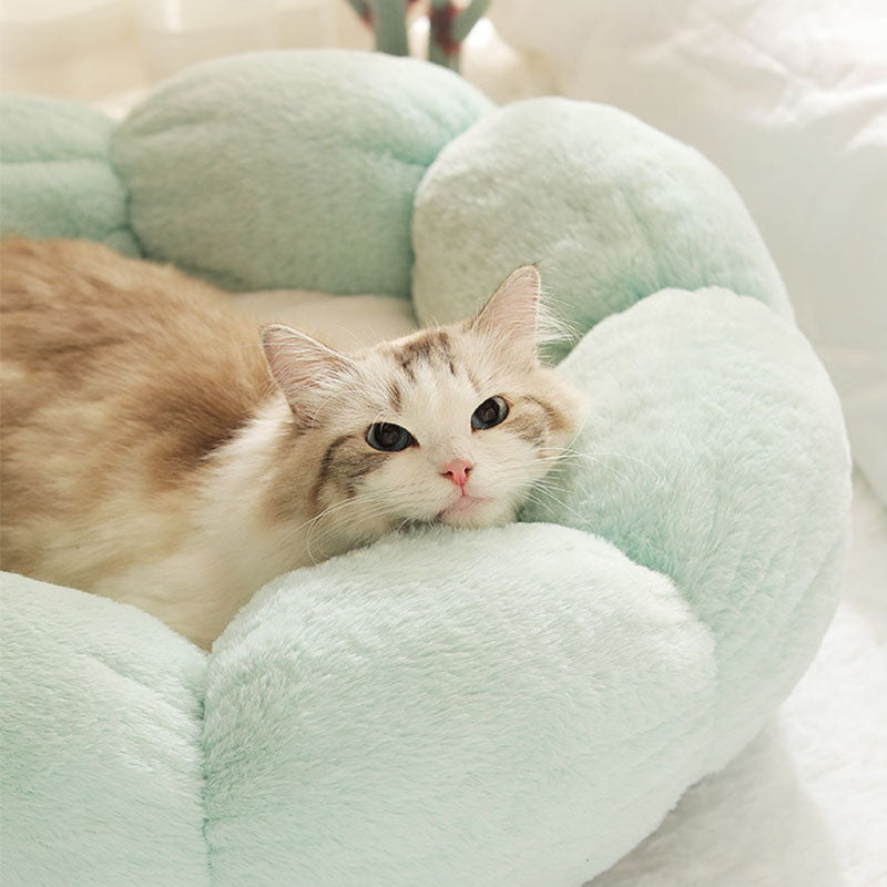 Deep Sleep Flower Shape Cat Bed