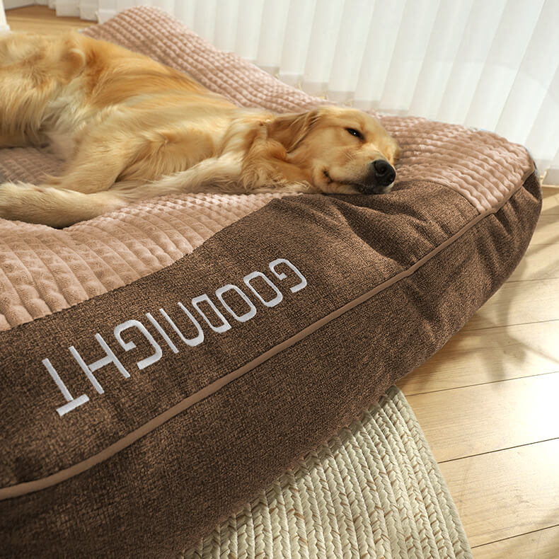 CocoonChien | Optimal comfort for your companion