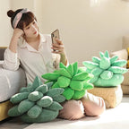 Succulent Dream - Natural Plenitude - Plush Comfort - Fine Elegance