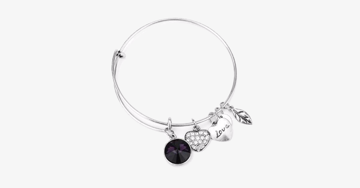 February Birthstone Charm Bracelet
