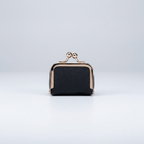 GemGo Box – Hard Outer Shell for Secure Travel