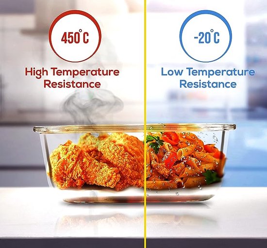 GlassGuard Bento Lunchbox – Borosilicate Glass