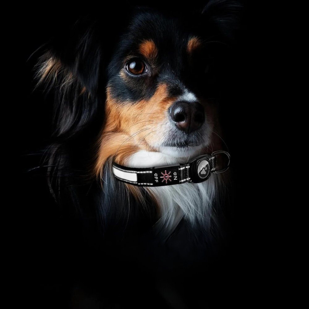 GlowGuard - AirTag Dog Collar