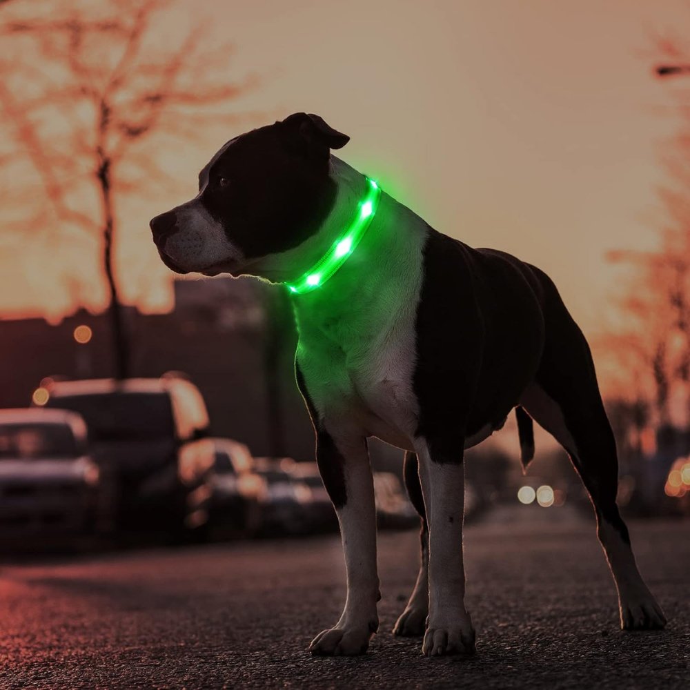 GlowGuard - AirTag Dog Collar