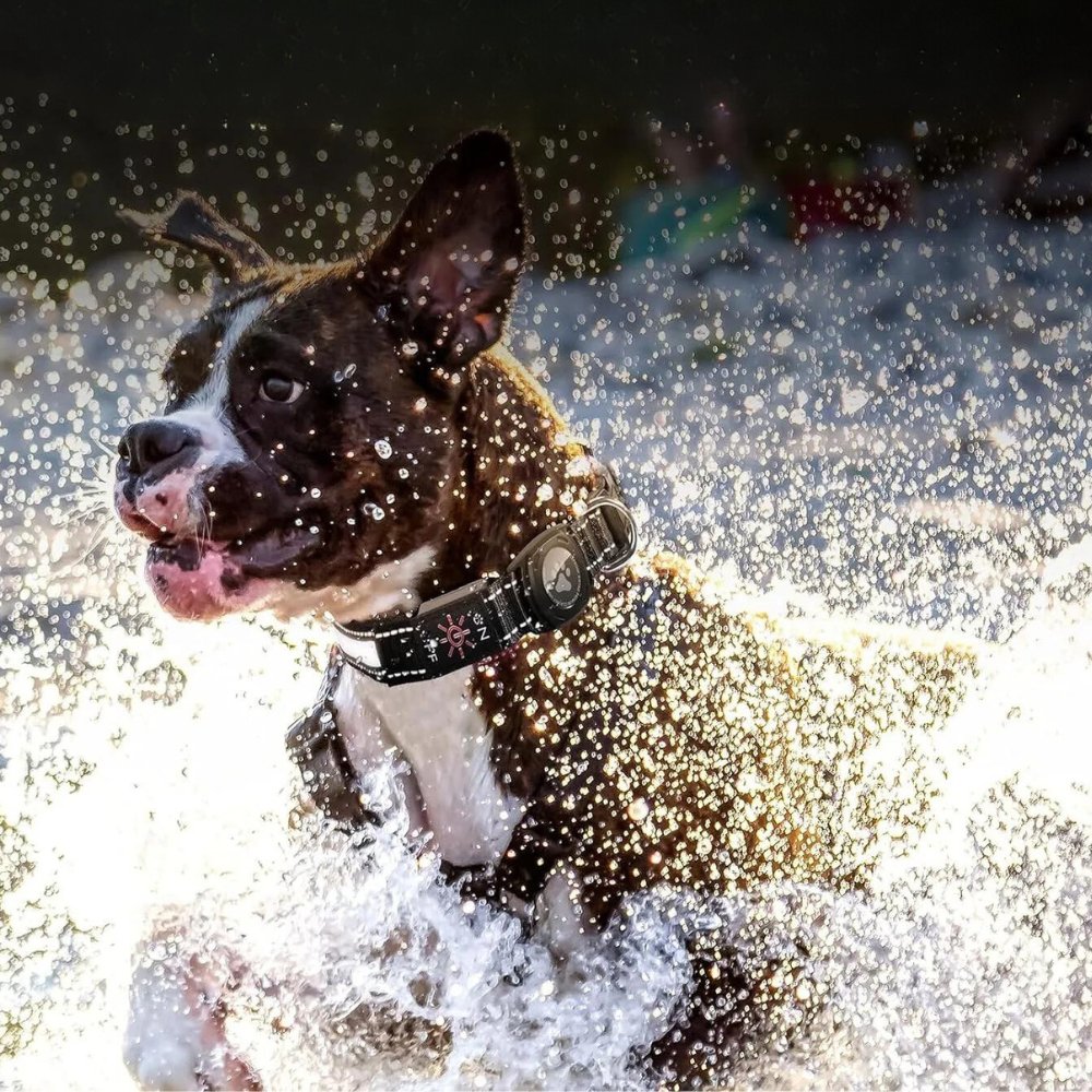 GlowGuard - AirTag Dog Collar