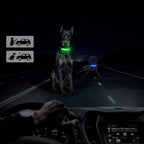 GlowGuard - AirTag Dog Collar