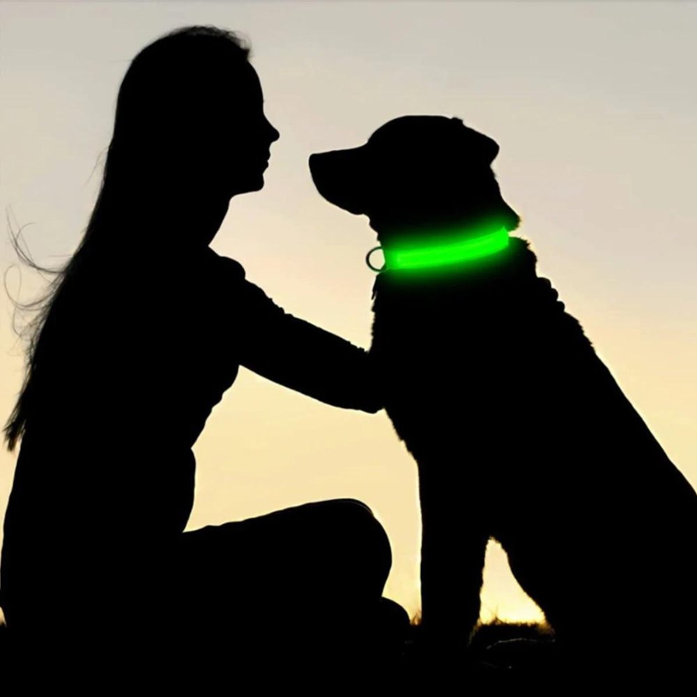 GlowGuard - AirTag Dog Collar