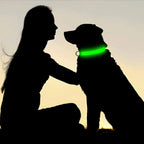 GlowGuard - AirTag Dog Collar
