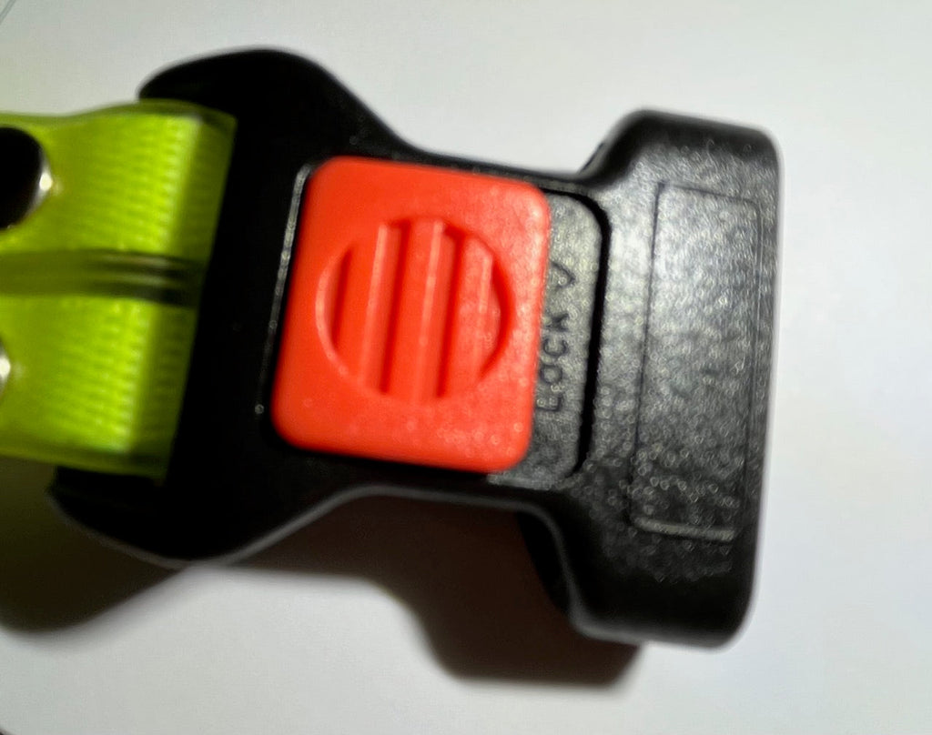 Glowing LED Dog Collar with Leash - NightBright
