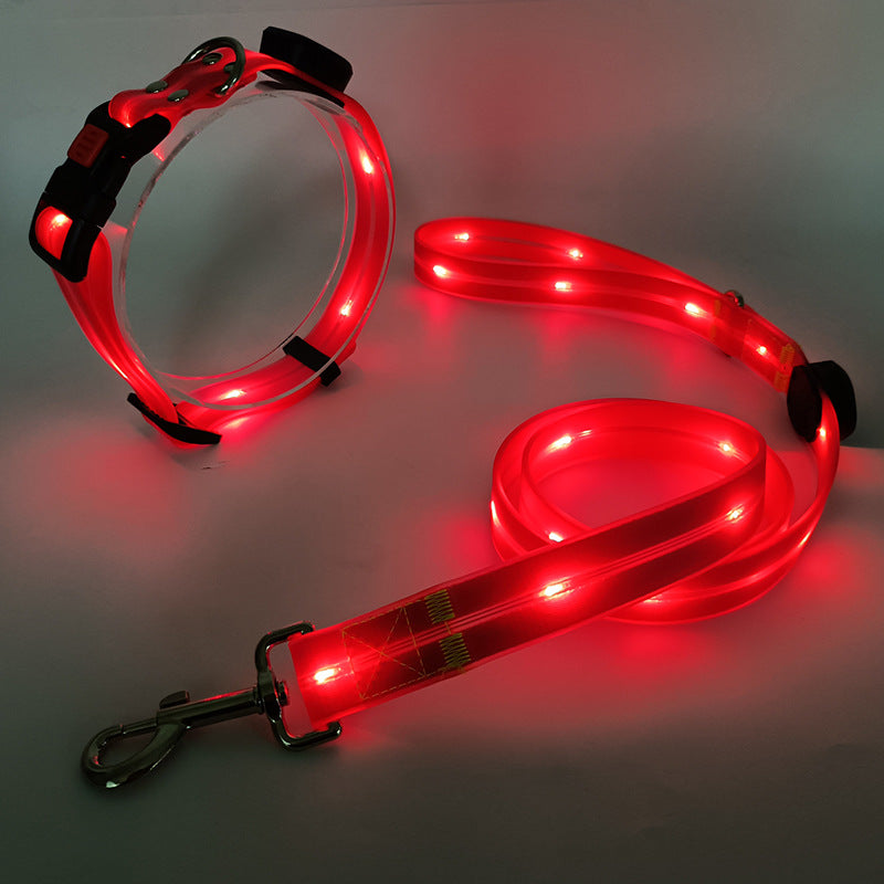 Glowing LED Dog Collar with Leash - NightBright