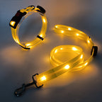 Glowing LED Dog Collar with Leash - NightBright