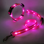 Glowing LED Dog Collar with Leash - NightBright