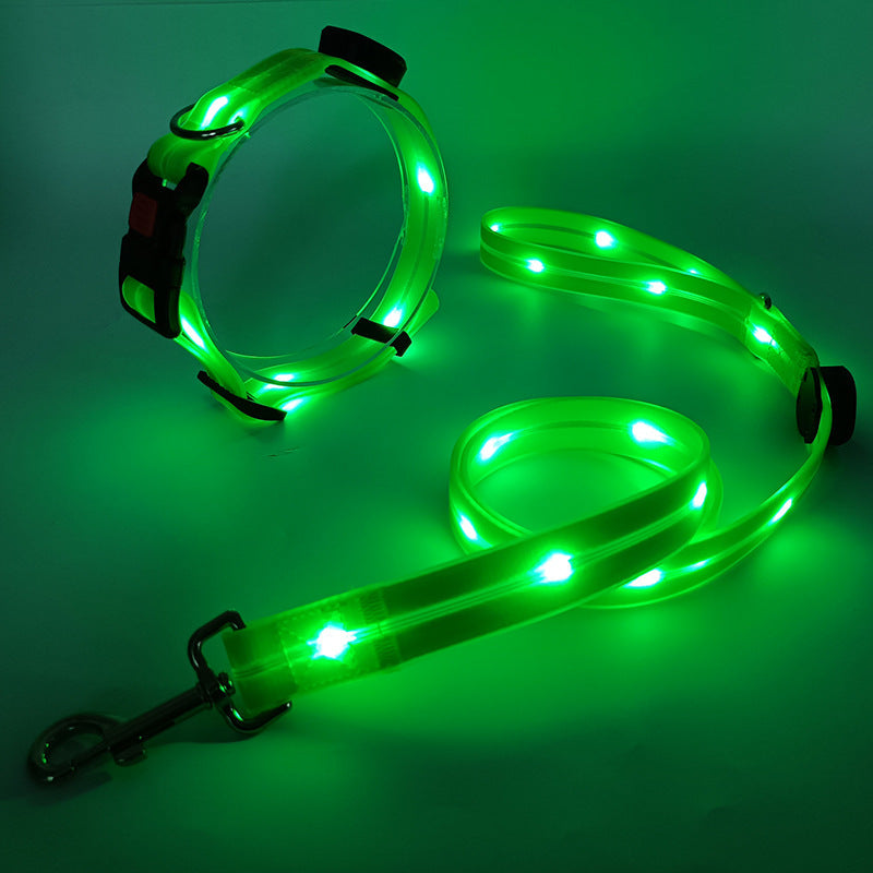 Glowing LED Dog Collar with Leash - NightBright