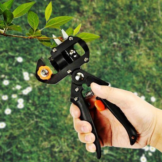 Grafting Pruning Shears