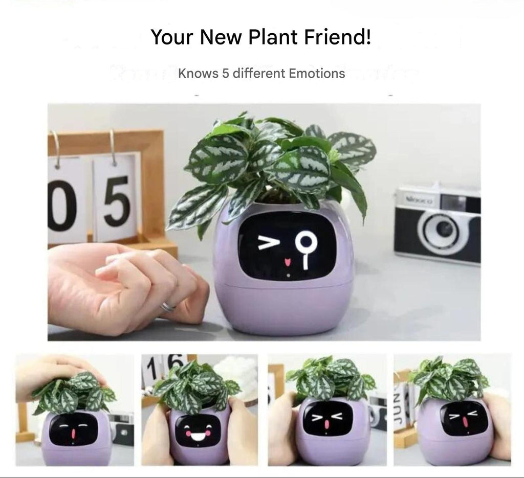 GreenBuddy SmartPot - Automatic Smart Planter