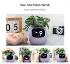 GreenBuddy SmartPot - Automatic Smart Planter
