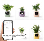 GreenBuddy SmartPot - Automatic Smart Planter