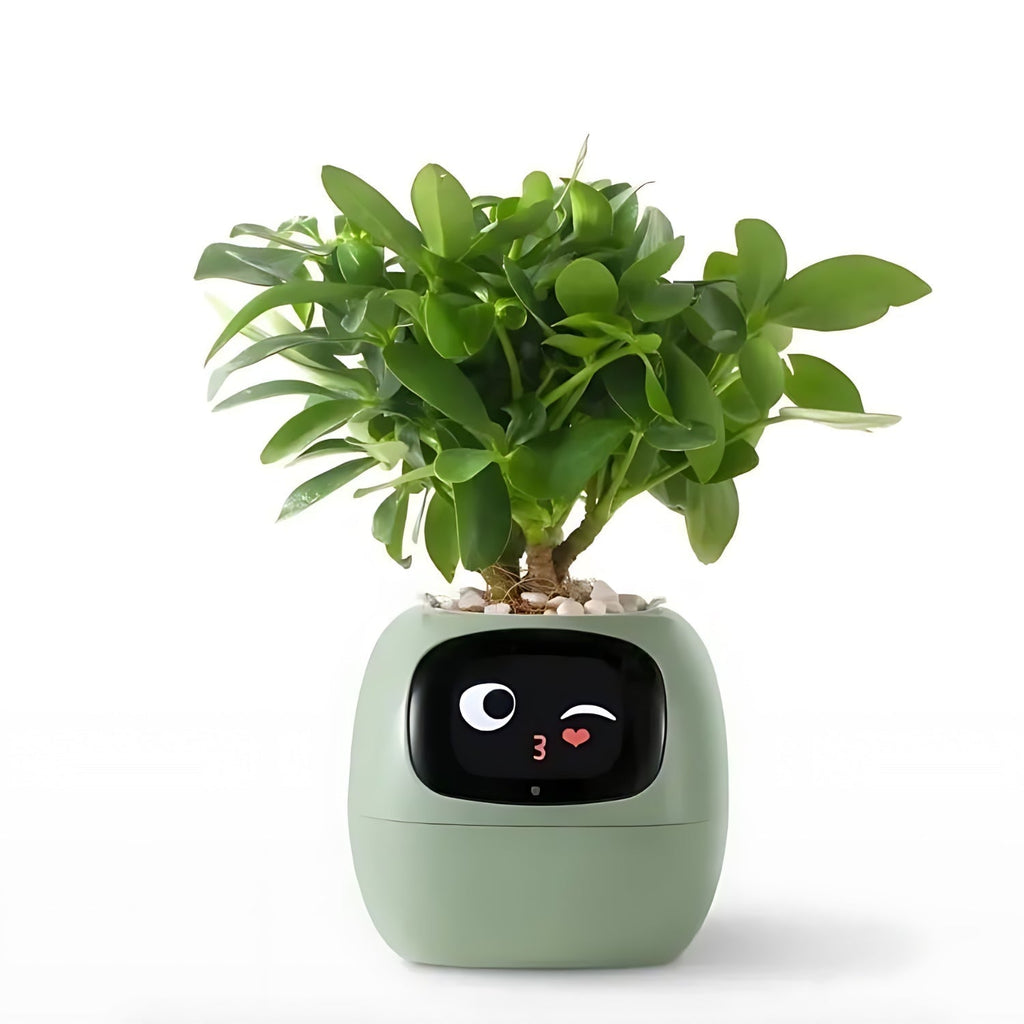 GreenBuddy SmartPot - Automatic Smart Planter