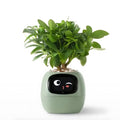 GreenBuddy SmartPot - Automatic Smart Planter