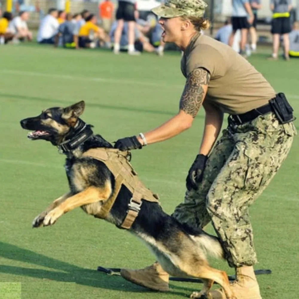 GuardianVest - No Pull Dog Harness