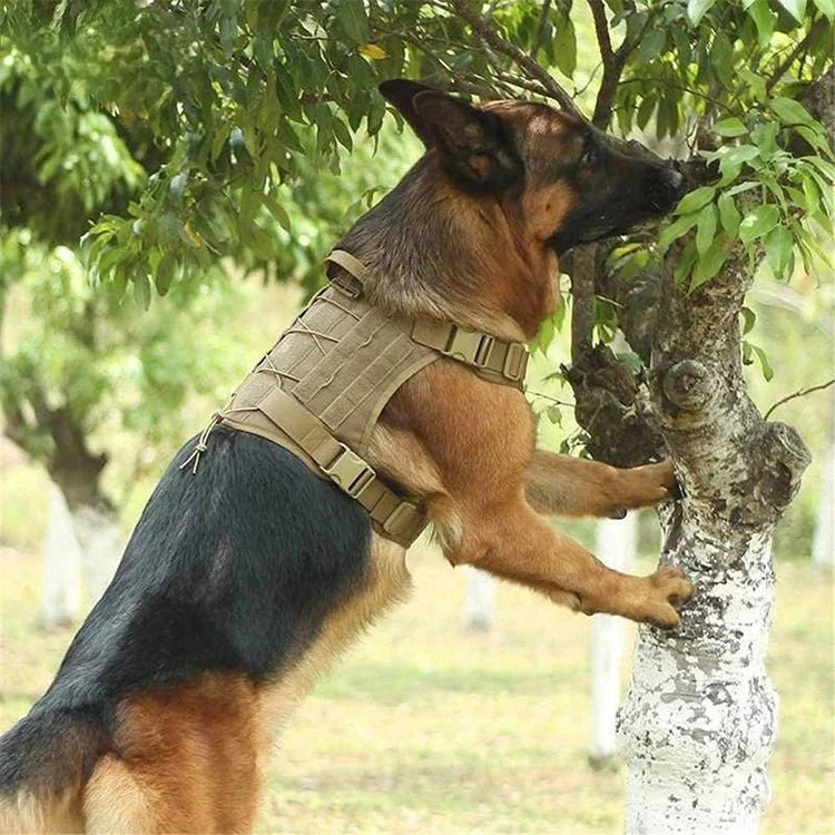 GuardianVest - No Pull Dog Harness