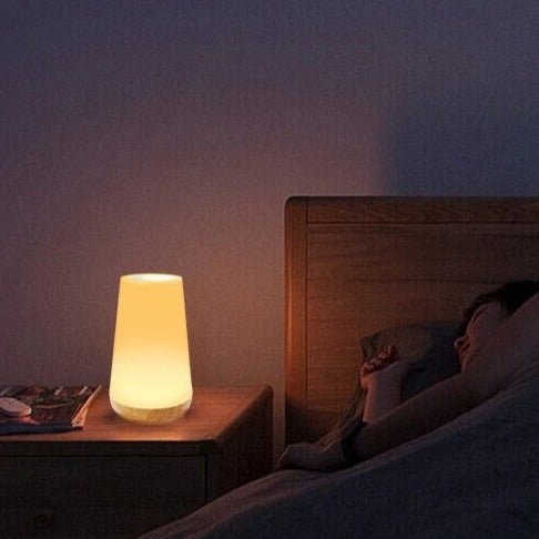 Halina Dimmable Battery Table Lamp with Touch Control Element