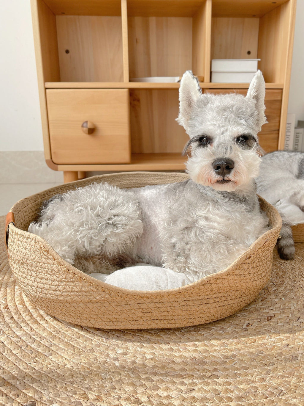 Handmade Comfortable Cat Bed - LuxeSnooze