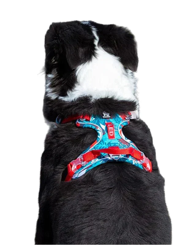 Comfortable & Durable Dog Harness – Vendo