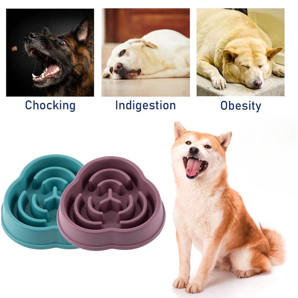 HealthyBowl - Dog Feeding Bowl Slow