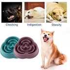 HealthyBowl - Dog Feeding Bowl Slow