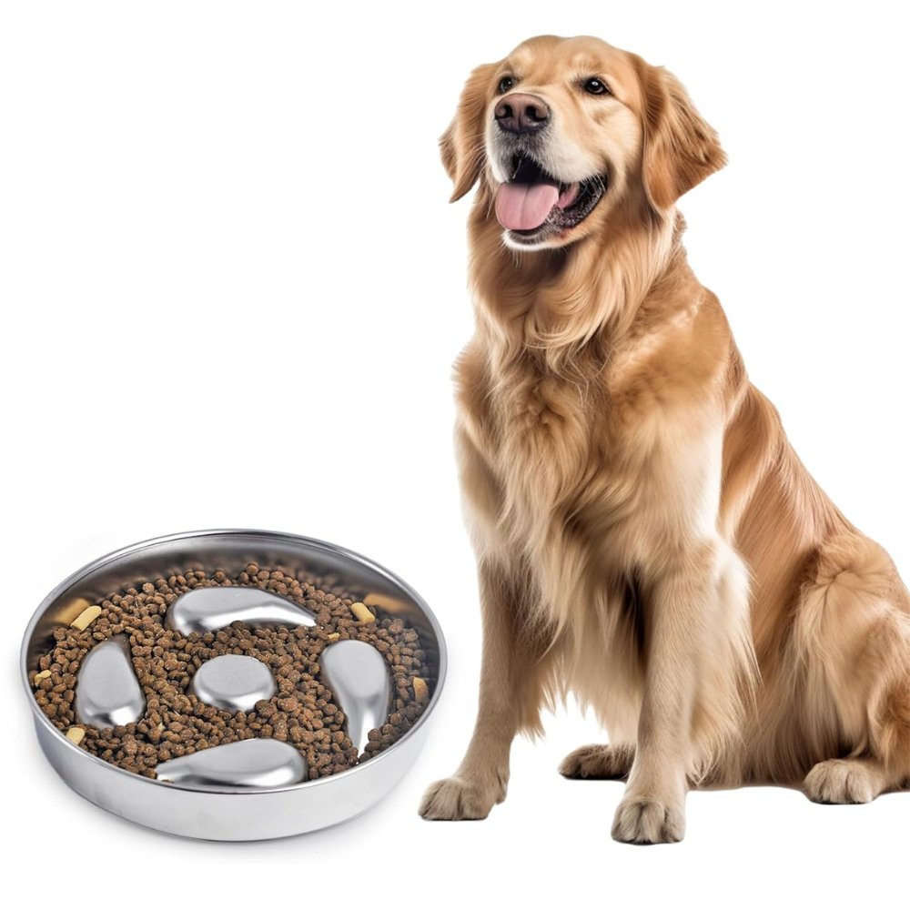 HealthyPaws - Dog Feeding Bowl Slow
