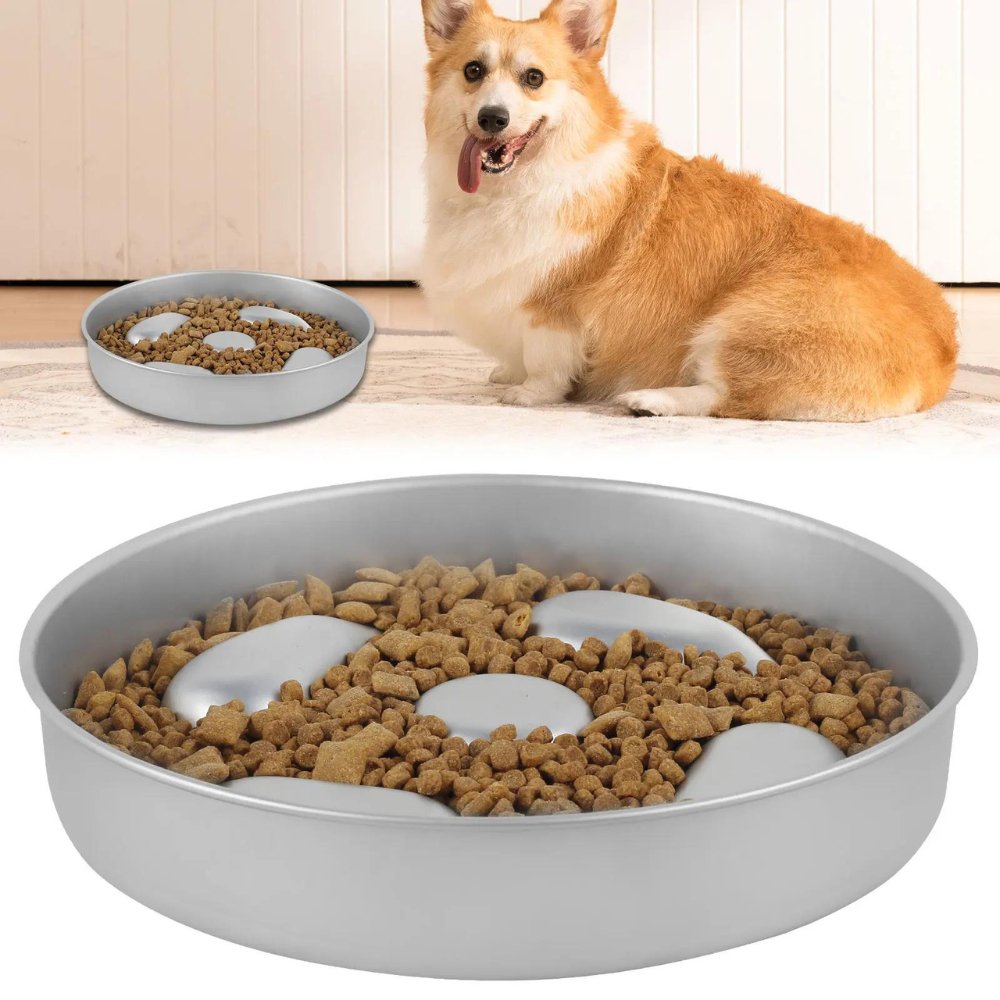 HealthyPaws - Dog Feeding Bowl Slow