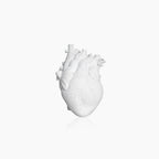 Heart Dry Plants Artificial Vase