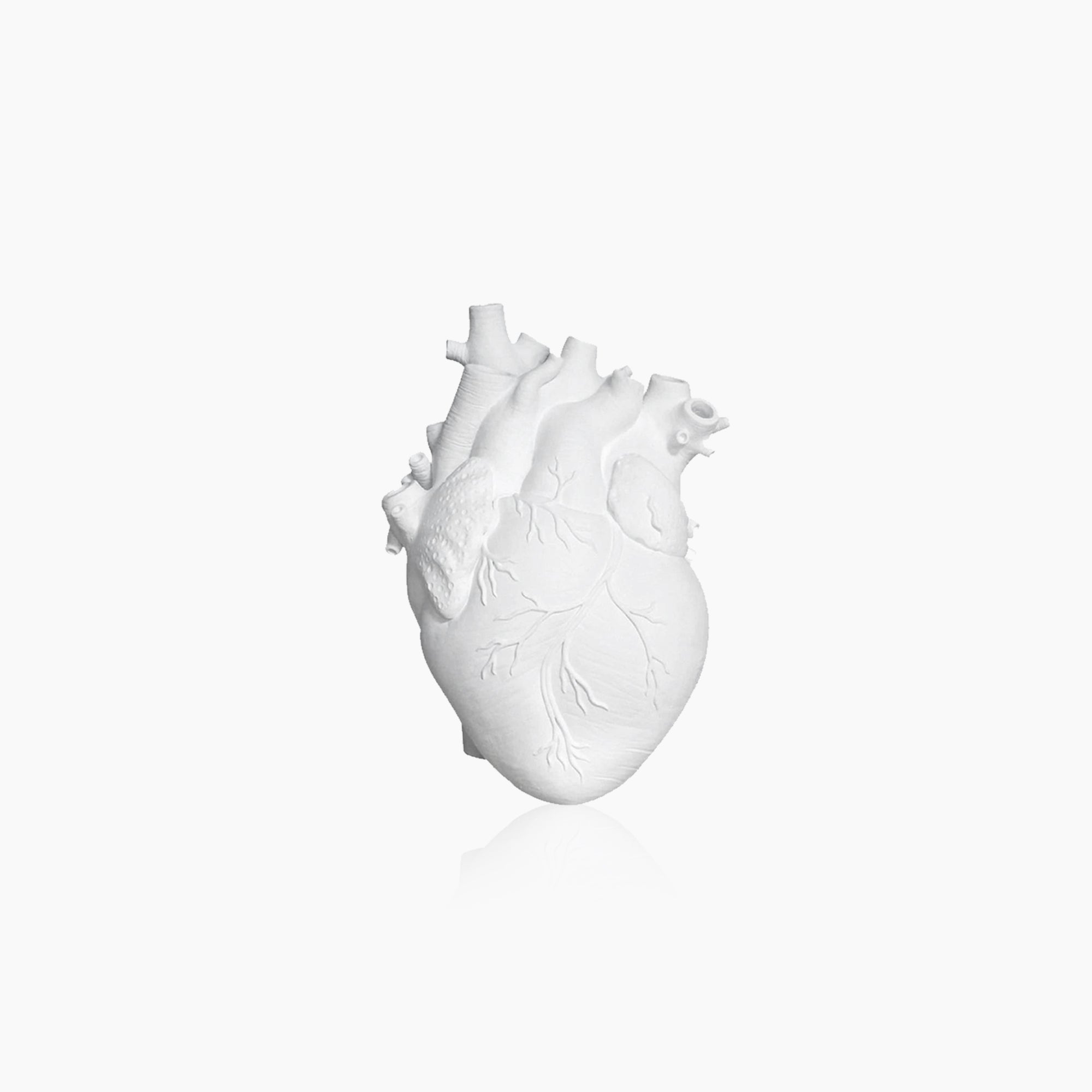 Heart Dry Plants Artificial Vase