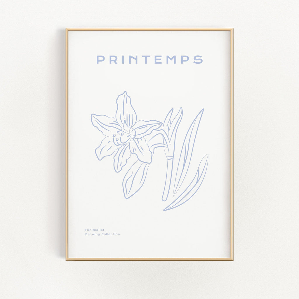 Printemps - Daffodil