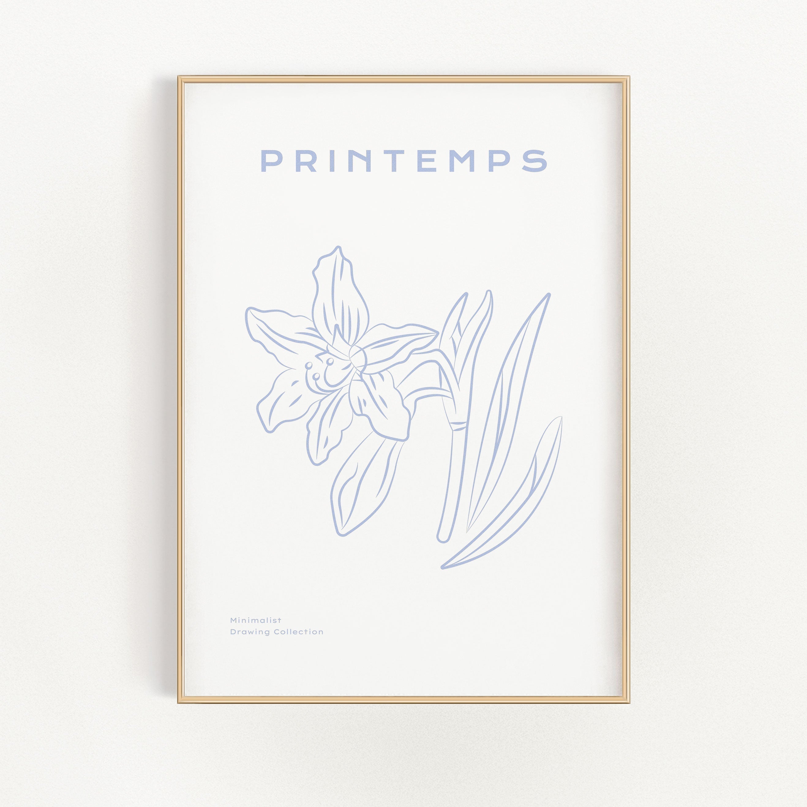 Printemps - Daffodil