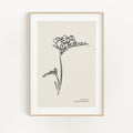 Minimalist Collection - Lavender