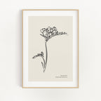 Minimalist Collection - Lavender