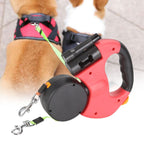 Rolling lead for two dogs with integrated torch
