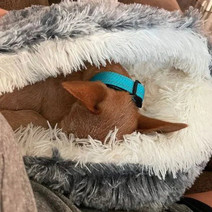 Luxury Calming Dog Bed – Soft, Supportive & Stress-Relieving Pet Bed for Dogs
