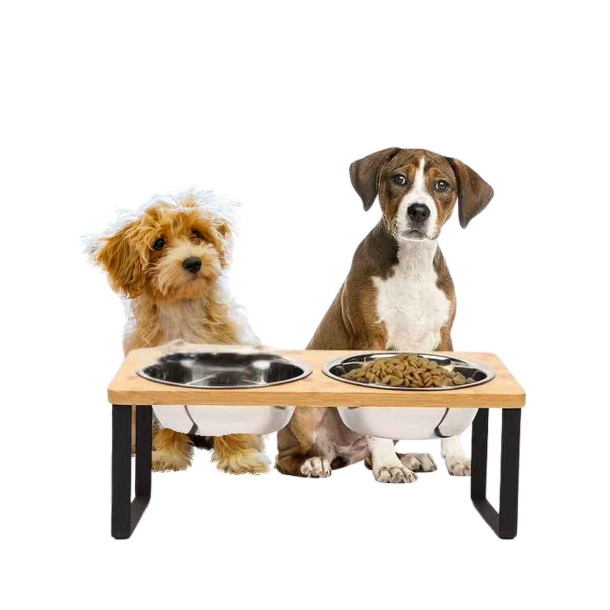 Elevated Dog Food Bowl – Bamboo Stand with Removable Stainless Steel Bowls