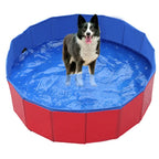 Foldable PVC dog pool for hot summer days