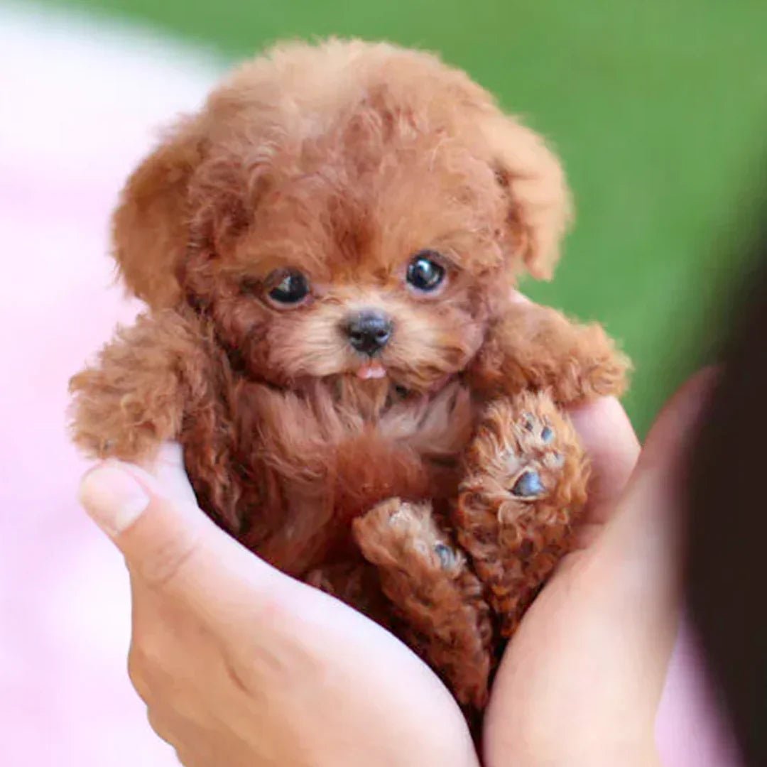 CuddlePup Smart Robot Puppy Dog | Perfect gift for children & elderly