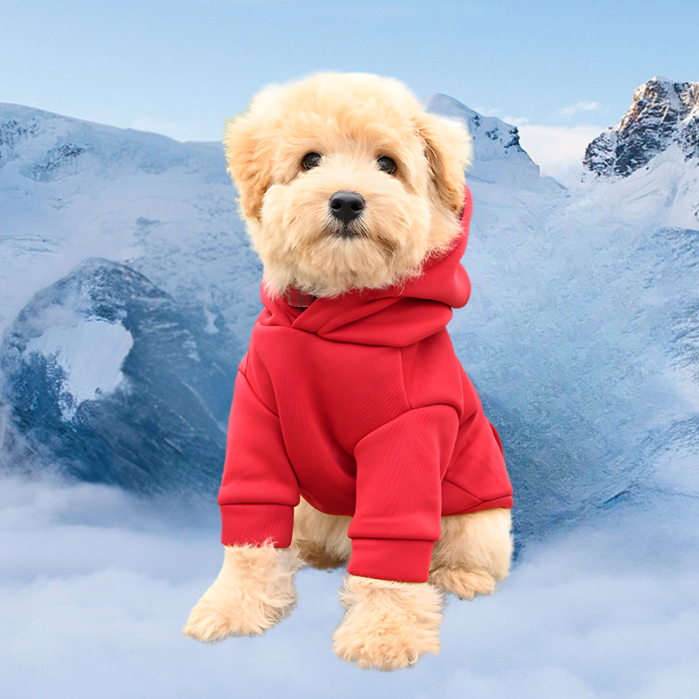 Dog Halloween Costume Fleece Dinosaur Hoodie | Pet Outfit Warm