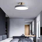 Modern LED Ceiling Light with Flush Mount Design for Interior Spaces