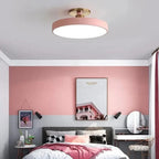 Modern LED Ceiling Light with Flush Mount Design for Interior Spaces