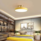 Modern LED Ceiling Light with Flush Mount Design for Interior Spaces