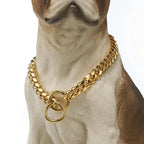 Heavy Duty Dog Collar